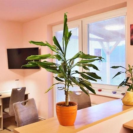 Nika Beds Otel Pardubice Dış mekan fotoğraf