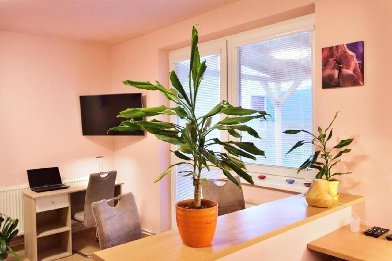 Nika Beds Otel Pardubice Dış mekan fotoğraf